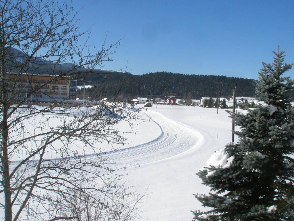 Casa Emmi Appartement Bad Mitterndorf Buitenkant foto