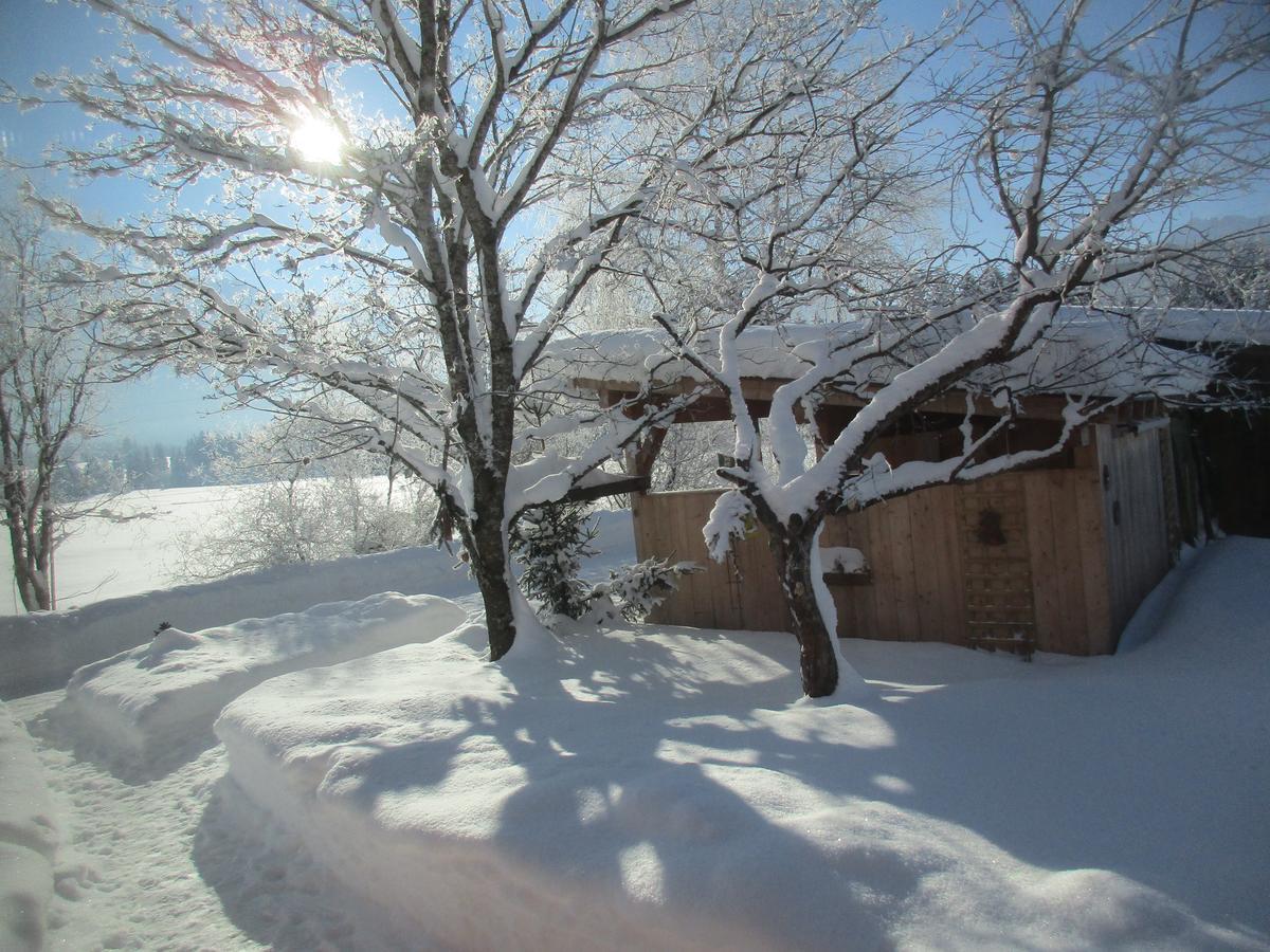 Casa Emmi Appartement Bad Mitterndorf Buitenkant foto